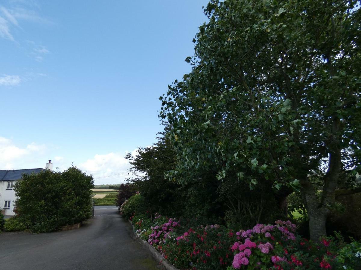 Bournestream Bed & Breakfast Withycombe Exterior photo
